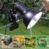 Thermostat Turtle Basking Lamp Clip-on Lamp Holder Pet Heat Bulb Snake Tortoise Plants