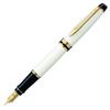 Перьевая ручка WATERMAN Official M Medium Point Expert Essential Ivory GT 2103840 Перо 18K Обычный импортный продукт Двойного назначения