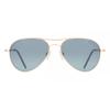 Randolph Engineering Amelia Polarized Aa021 Unisex Sunglasses