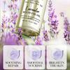 Lavender Dried Flower Massage Oil 30ml Moisturizing and Rejuvenating Skin Body Essential Oil Manufacturer