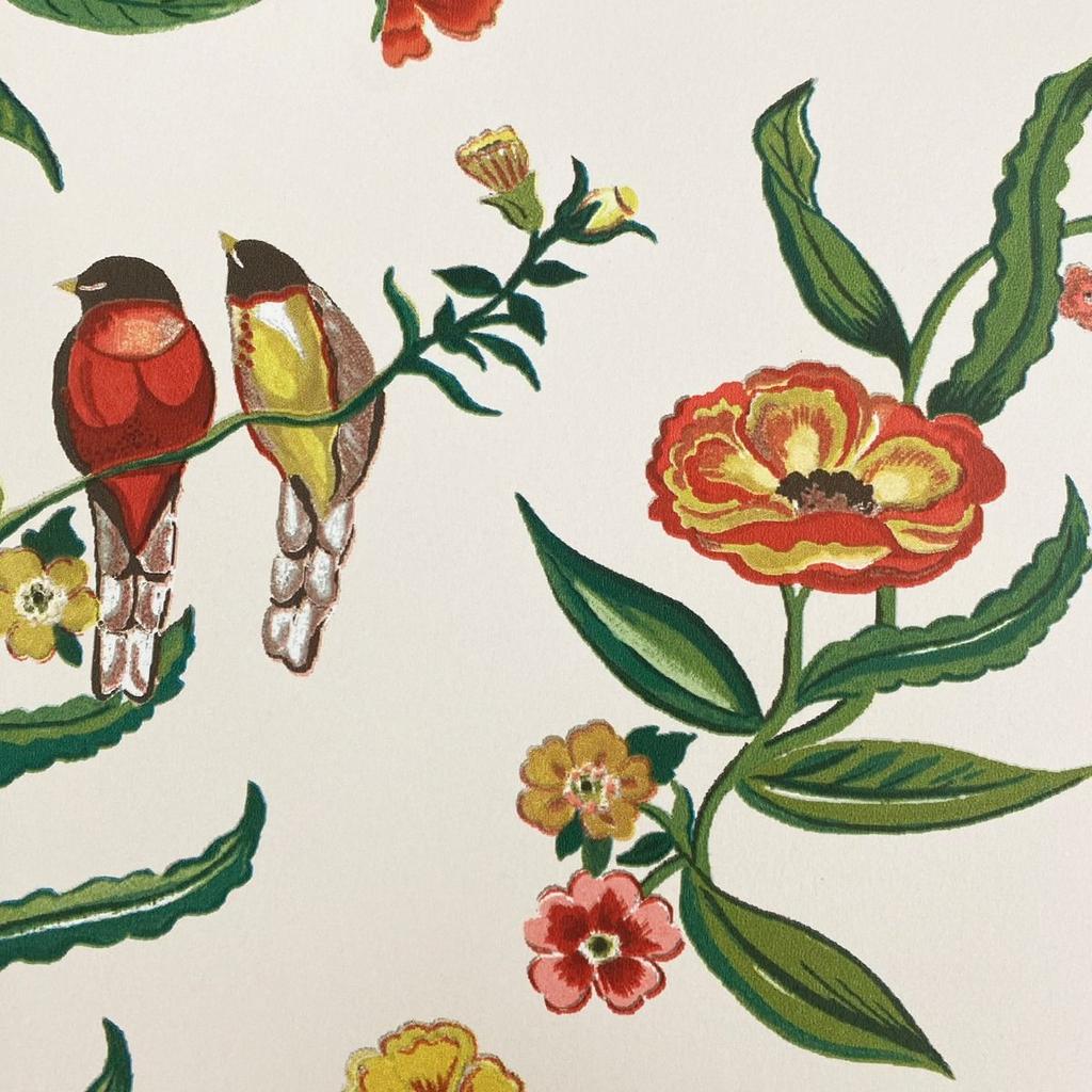 CATH KIDSTON Обои с птицами