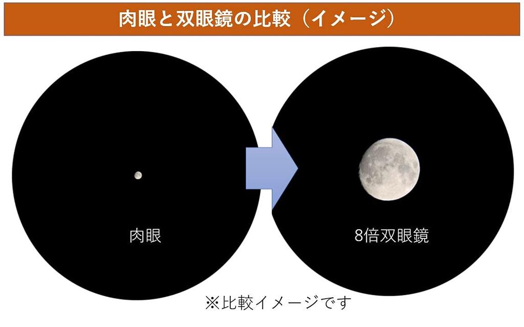 Vixen Binoculars Small Lightweight Binoculars 8x21 White 8x Total Lunar Eclipse Starry Sky Constellation Astronomical Observation Live Concert 71016