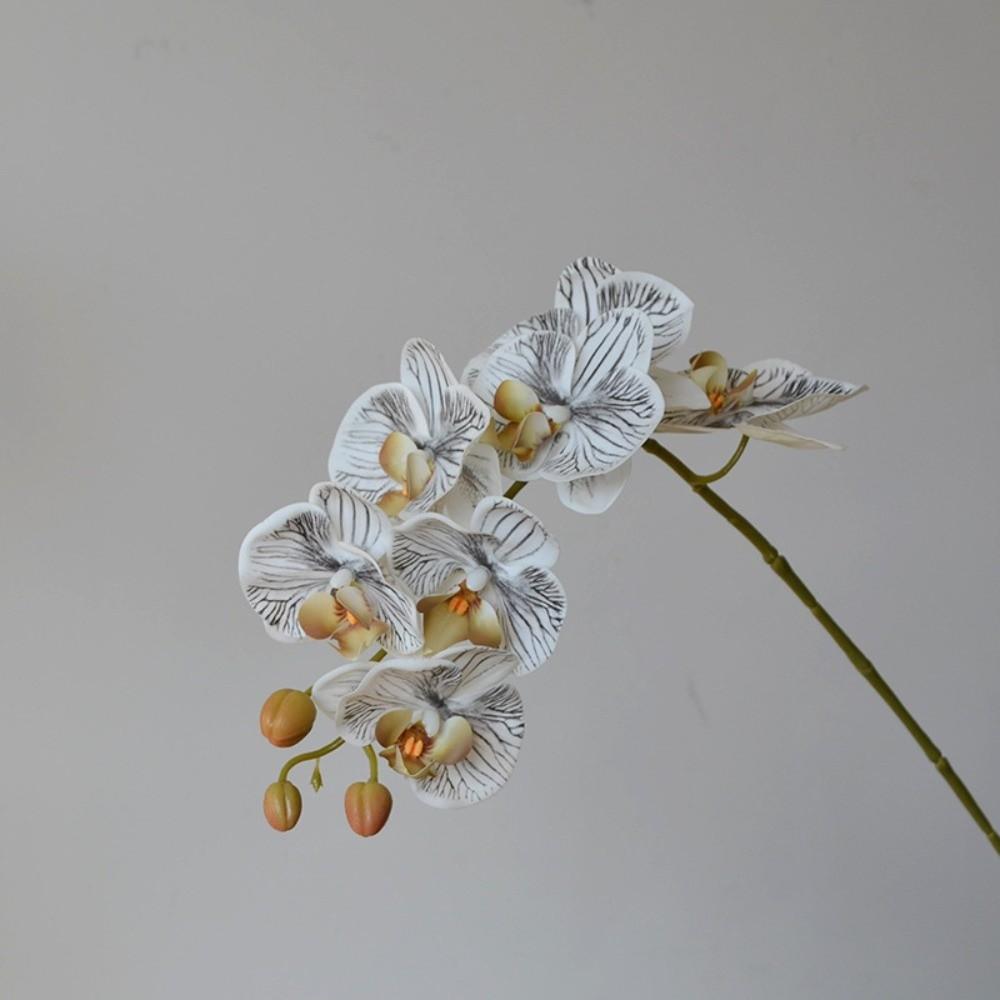 Single Branch Simulation Butterfly Orchid Moth Orchid Plastic Flower Bouquet  Home Decor