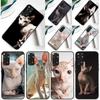 Чехол для телефона Xiaomi Redmi Note 13 14 Pro 12 9 10 11 Pro 10S 11S 12S Redmi 14C 13C 10C 12C с изображением сфинкса