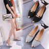 2025 Summer Korean Version of The New Women's Shoes Pointed Flat Shoes Shallow Mouth Single Shoes