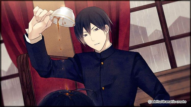 Хашихиме из района антикварных книжных магазинов Switch -