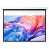 IN&VI Fresnel Anti-Light Motorized Projector Screen