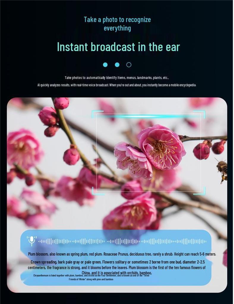 AI Smart Glasses with 800W Camera, Anti-shake, Photo Translation, Call Recording, Voice Assistant - Model CY01-01