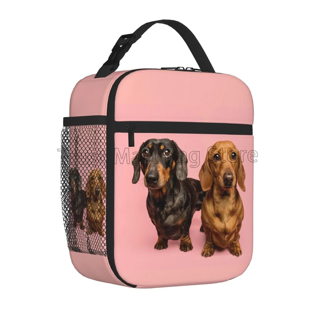 Такса Собака Принт Многоразовая Изолированная Сумка-Охладитель Для Обеда Термальная Сумка-Холодильник Bento для Мужчин Женщин Офиса Пешего Туризма Кемпинга Пикника Пляжа