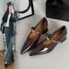 Fashion Korean Block Heel Mary Jane Retro Single Shoes Women's 2025 New Autumn Pointed Toe Shallow Mouth Vintage Strap High Heels