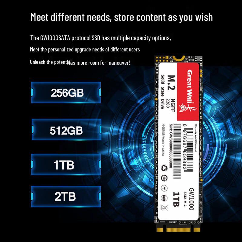 Great Wall GW1000 512 ГБ M.2 SATA SSD
