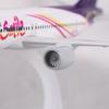 16 см Металлическая Модель Самолета Реплика Thai Smile 320 Самолет Масштаб Авиация Литой Миниатюрное Искусство Декор для Дома Офиса Игрушка Подарок