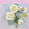 Silk Paeonia Suffruticosa Wedding Flower Decor With Elegant Design For Photographers And Celebration Scenes