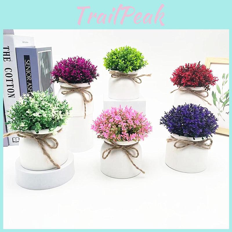 Plastic Veronicastrum Caulopterum Mini Pot With Roped Butterfly Design For Indoor Outdoor And Special Occasion Use