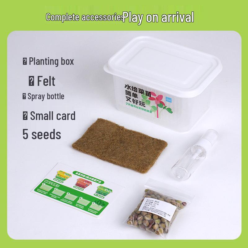Children's Planting Kit: Hydroponic Vegetable & Radish Seedlings, Green Plants for Kindergartens, Seed Growth Observation for Primary Students