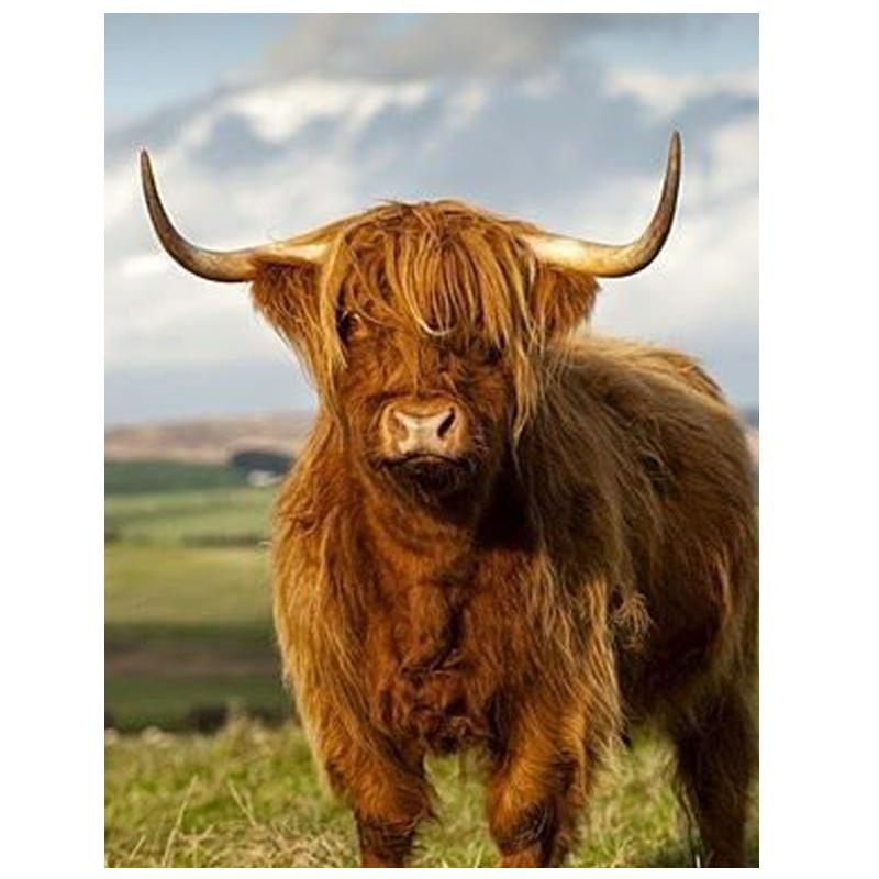 Алмазная картина Корова 5D Алмазная мозаика Вышивка крестом Алмазные точки Картина Мозаика