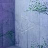 CD GHOST LIKE GIRLFRIEND - WITNESS  BNCD0003 Япония ObiMusic Прочее Б/у