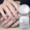 Aurora Moonlight Mirror Nail Powder Silver Glitter Effect Pigment Chrome Dust Nail Decoration
