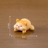 Adorable Resin Fat Cat Figurine Blind Box Cute Cartoon Miniature Animal Decor