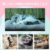 TASINO Realistic Gray Cat Figurine Plush 26 x 18 Lifelike Kitten Car Toy, cm, Cute, Model, Accessories,
