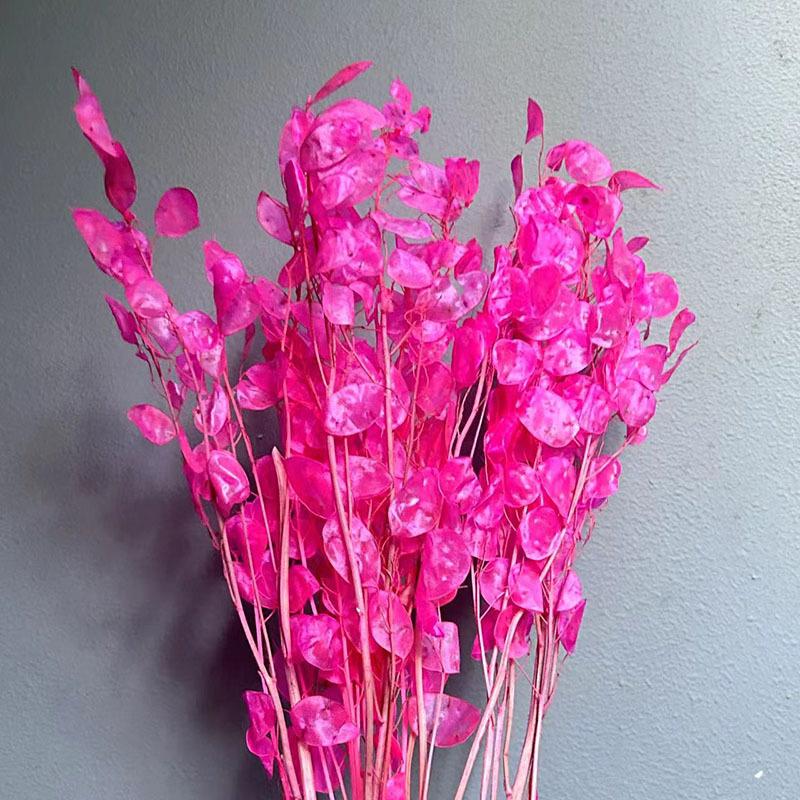 Сухоцвет серебряный веер, белый цветок, украшение для дома своими руками, букет, натуральный настоящий цветок, сухоцвет серебряный веер, бессмертный цветок