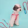 Многоцветная шлейка для собак All2Pet, коралловый+синий M
