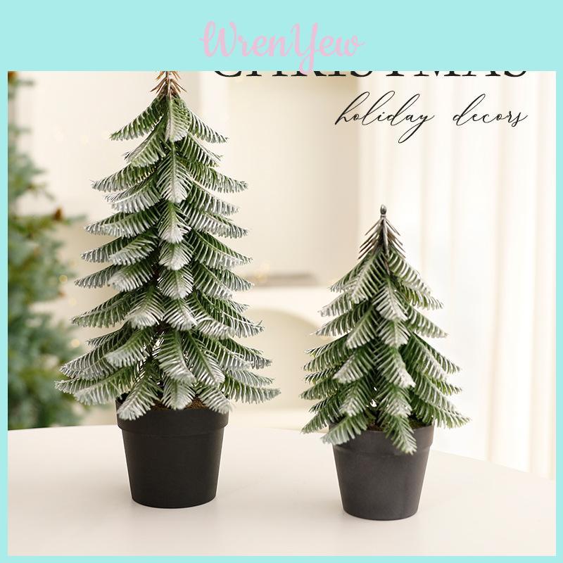 Abies Procera Rehder Holiday Christmas Tree Ornament With Pe Finish For Home Celebration Decor