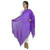 Индийский длинный палантин Dupatta из смеси шифона Chunni Neck Wrap Tassel Throw Throw