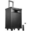 Edifier PW312 12-дюймовая портативная уличная Bluetooth-колонка, штекер CN (адаптер в комплекте)