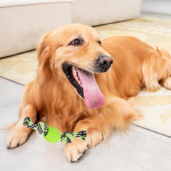 Игрушка для домашних животных Мяч с двойным узлом, устойчивый к укусам, хлопковая веревка, игрушка для жевания собак