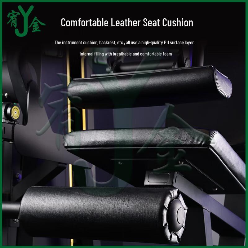 Youjin Seated Leg Extension & Curl Trainer