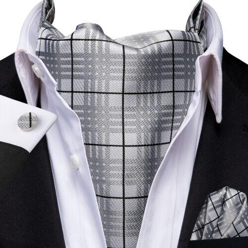 Mens Ascot Tie Set Paisley Cravats Red Black Blue Gold Pink Silk Vintage Scarf