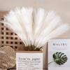10PCS/Set Home Decor Fluffy Pampas Grass 55CM Artificial Flower Artificial Plants  Wedding Party
