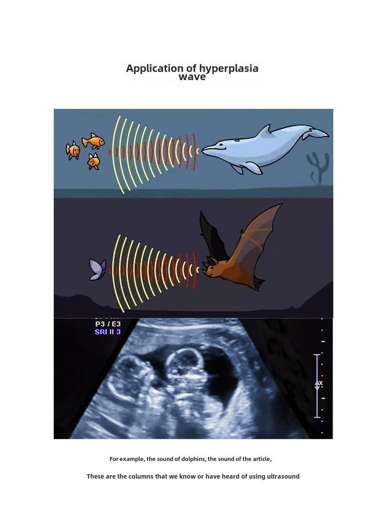 Ультразвуковая терапия и косметический аппарат – Массаж всего тела с зондом