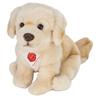Peluche - Golden Retriever - Assis - 25 Cm - Noir - Pour Enfants À Partir De 3 Ans