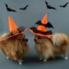 Witch Pet Hat Costume Accessory With Pumpkin And Bat Designs For Wear Halloween