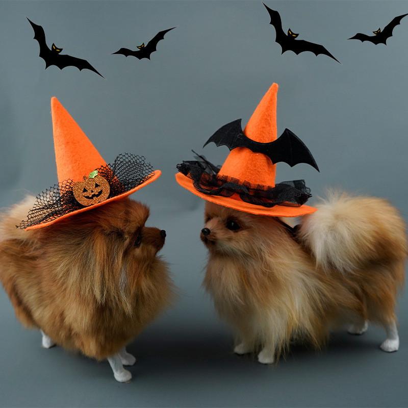Witch Pet Hat Costume Accessory With Pumpkin And Bat Designs For Wear Halloween