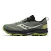 Peregrine 14 GORE-TEX Bough Olive Мужские кроссовки Серые S20918-110