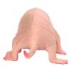 Пластиковая фигурка крота Игрушка Симуляция Статическая Полный сердечник Голый крот Модель для детей Песочный стол Украшения