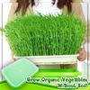 Гидропонная система домашнего садоводства, лоток для рассады, двухслойное культивирование без почвы