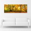 Canvas print, Golden forest