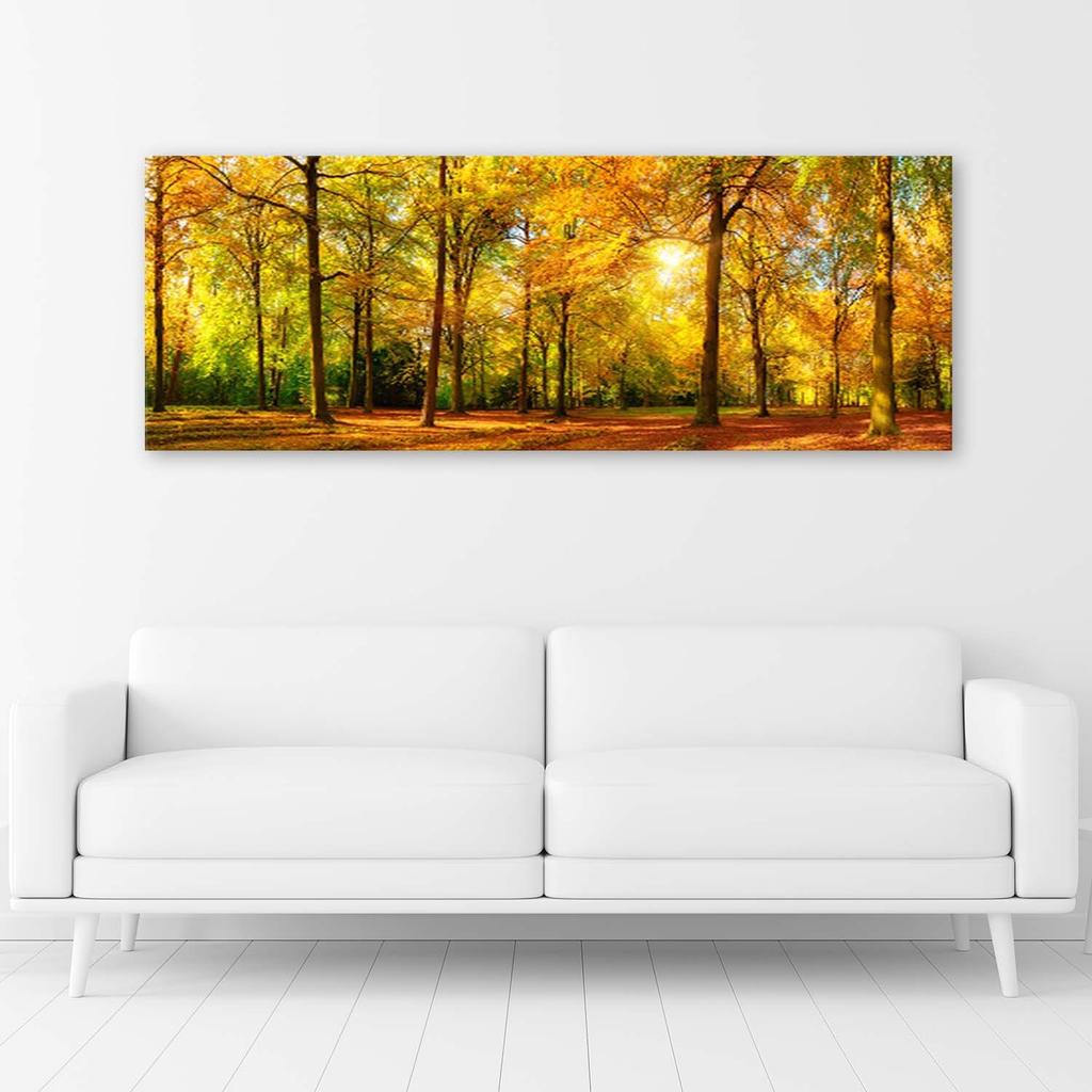 Canvas print, Golden forest