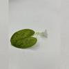 Betta Fish Tank Decoration: Artificial Aquatic Plants & Resting Leaf Simulation for Aquarium Landscape