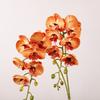 Simulation Phalaenopsis, retro high-grade silicone cotton cherry blossoms, wedding decoration lip Phalaenopsis simulation flower