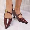 Pointed Head Shallow Mouth Single Shoes Women's New Spring and Autumn Metal Buckle Mary Jane Shoes Temperament Stiletto Shoes