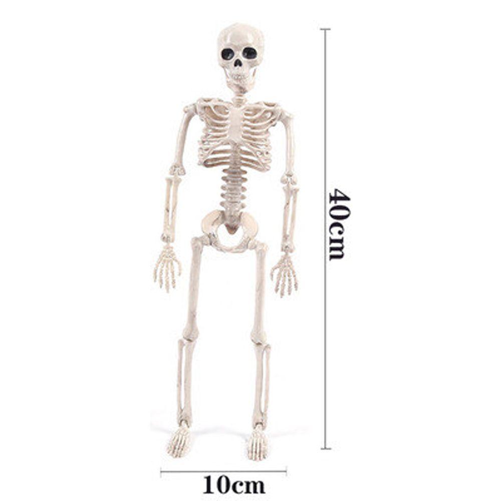 Decoration Skeleton Anatomy Skeleton Human Skeleton Model Car Decoration People Active Model