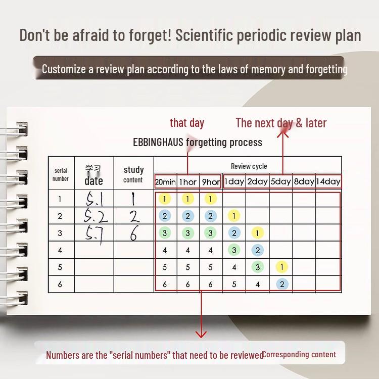 Специальный выпуск для новичков: Карманный словарь английской лексики для учащихся средней и старшей школы (2-Pack)