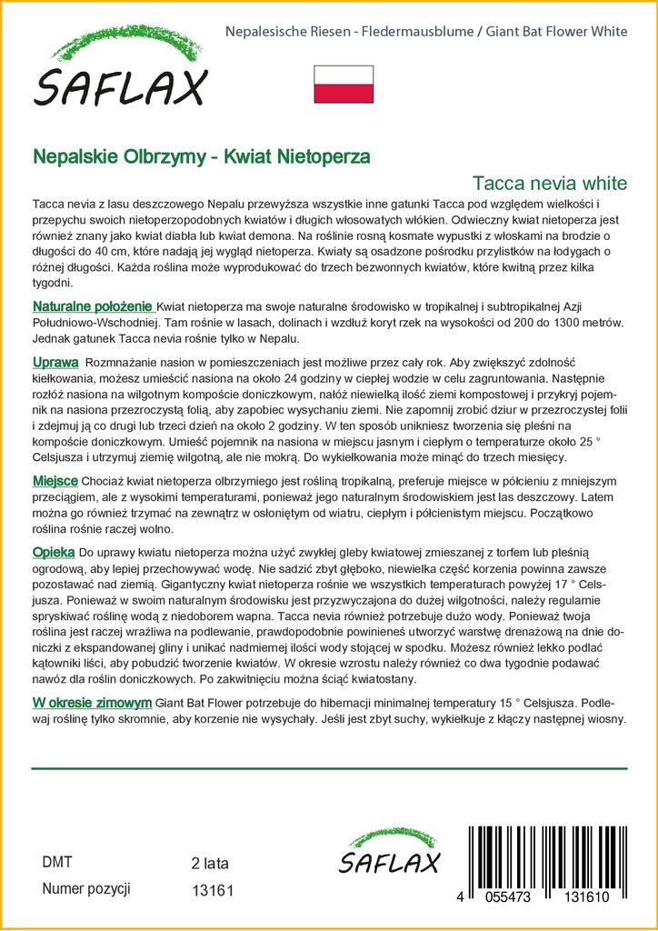 SAFLAX Giant Bat Flower White - 10 семян - Tacca nevia white.