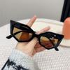 Vintage Sexy Cat Eye Sunglasses Women Luxury Trendy Oversized Sun Glasses Y2K Punk Outdoor Eyewear UV400 Protection Shades