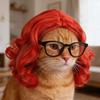 1 Набор Парик и Очки для Кошки Смешной Костюм для Питомца Регулируемый Парик для Питомца Большие Волосы Фото Реквизит Наряд для Кошек и Маленьких Собак Праздничная Вечеринка Косплей